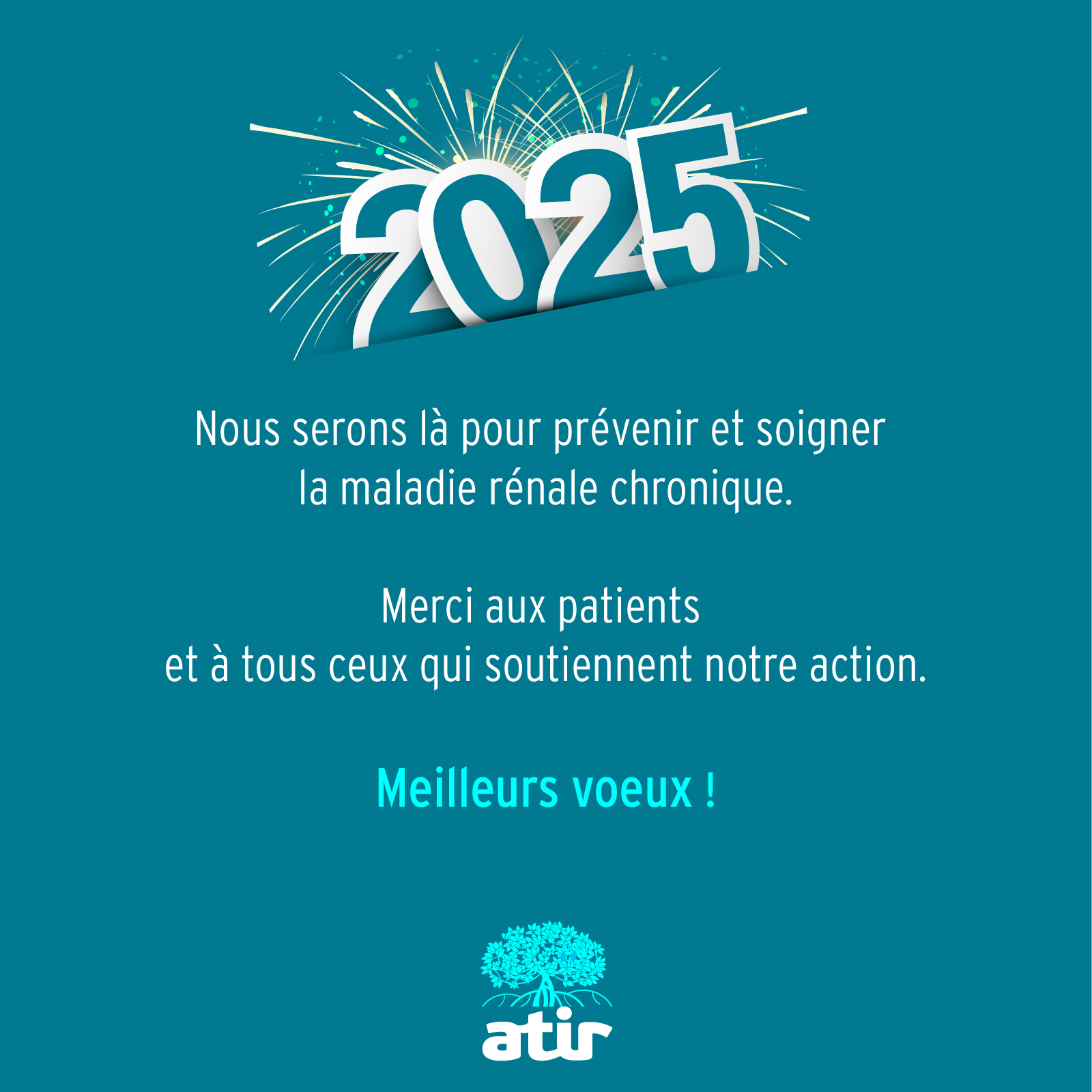 Bonne année 2025, voeux de l'Atir.